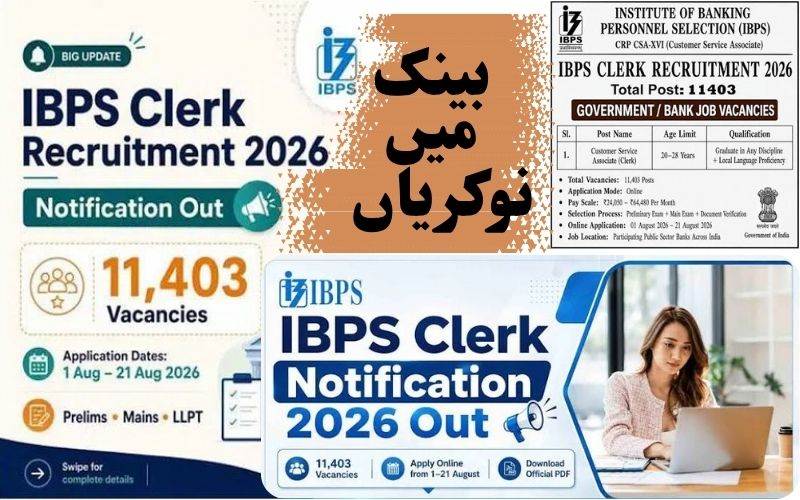 آئی بی پی ایس کلرک بھرتی 2026: 11403 آسامیوں کے لیےآن لائن رجسٹریشن
